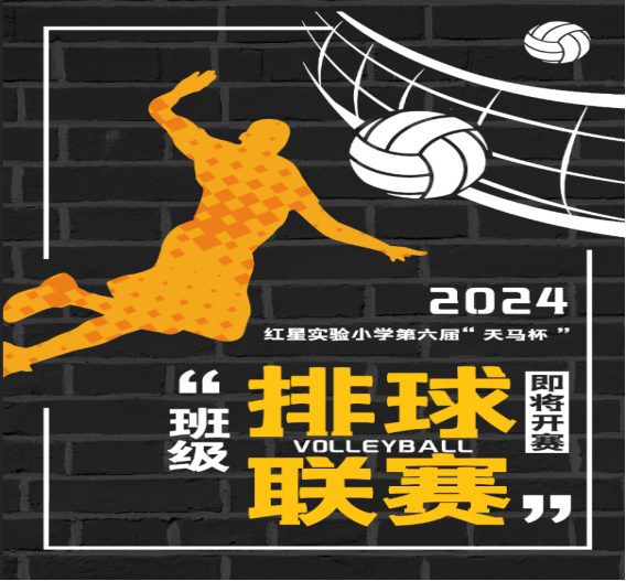 九游注册-全国排球联赛，激情拼搏共追梦想的简单介绍
