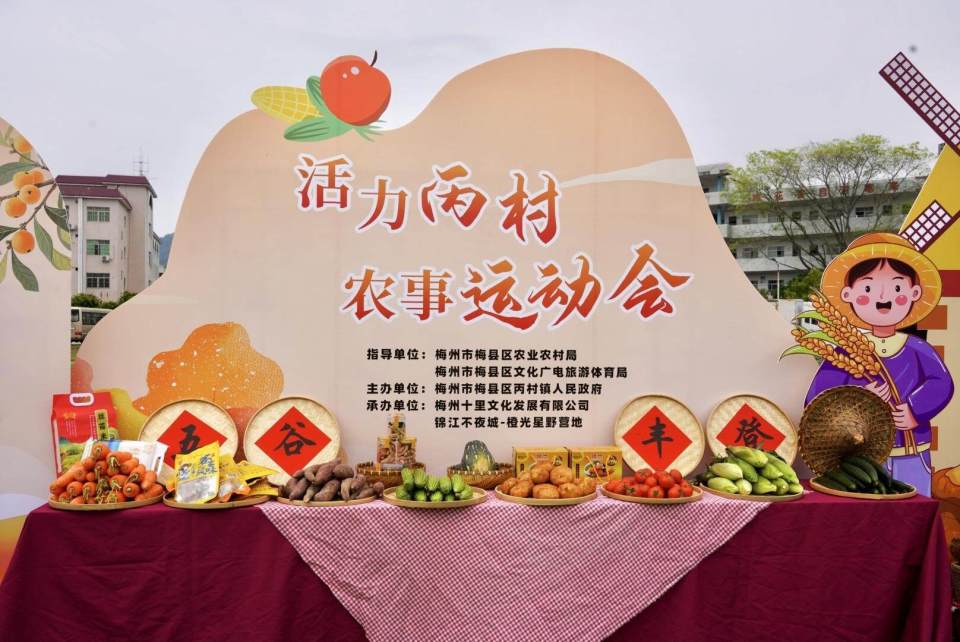 九游娱乐注册-特色乡村骑马摘果比赛，运动与传统农事结合的简单介绍