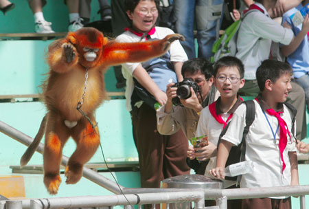 九游娱乐官方平台-动物与人类体操：动物元素的运动趣味