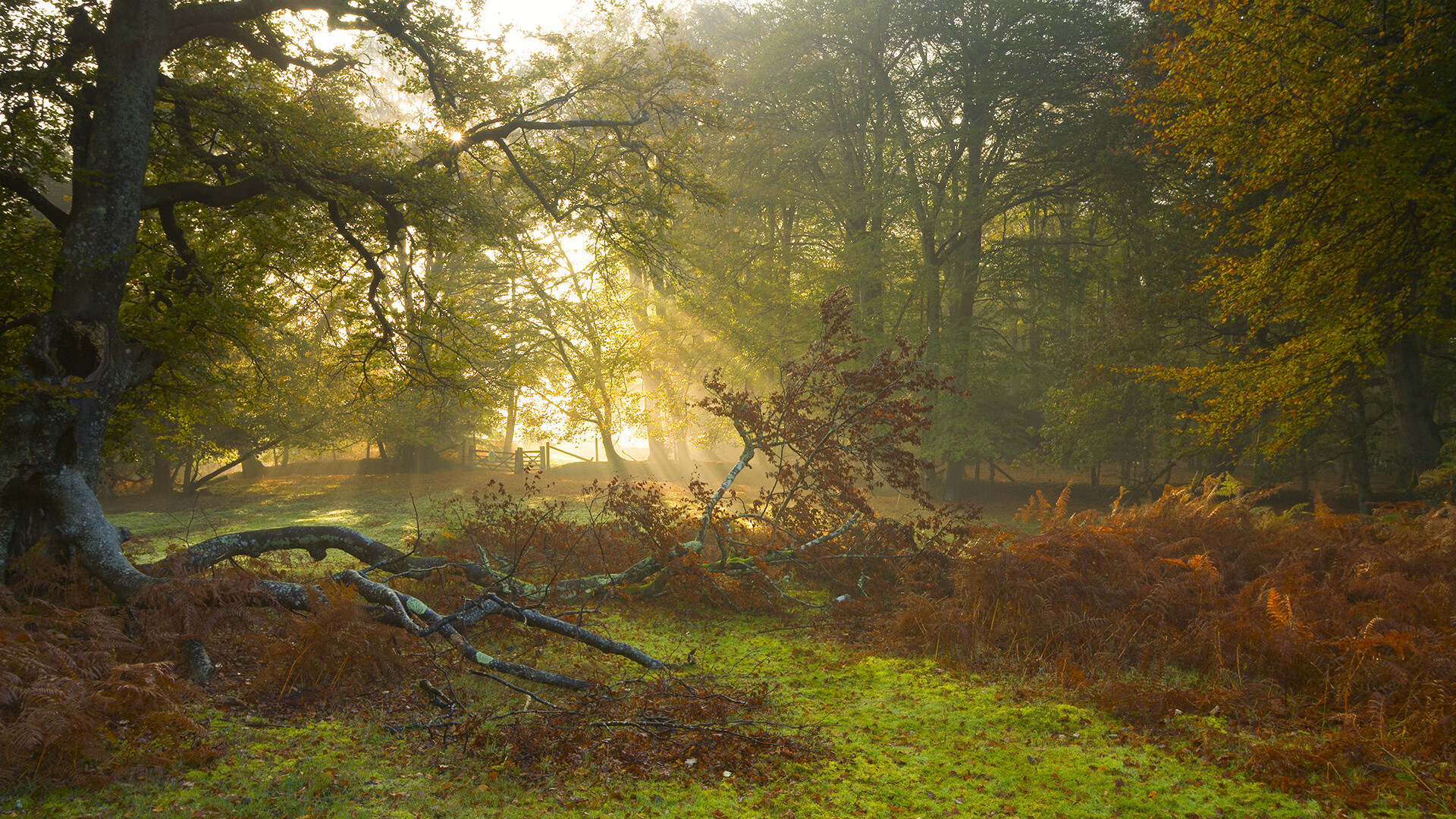 JDG教练组深化数据驱动战术训练