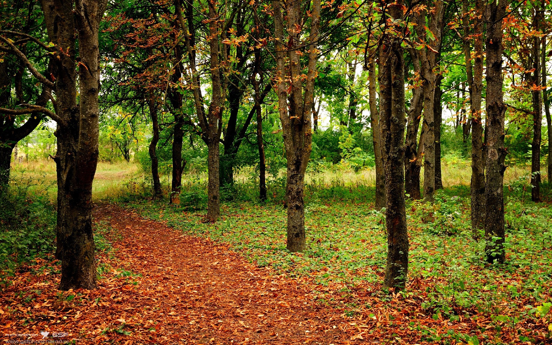 九游网址-体育球队客场表现稳健获好评，球场队员分布