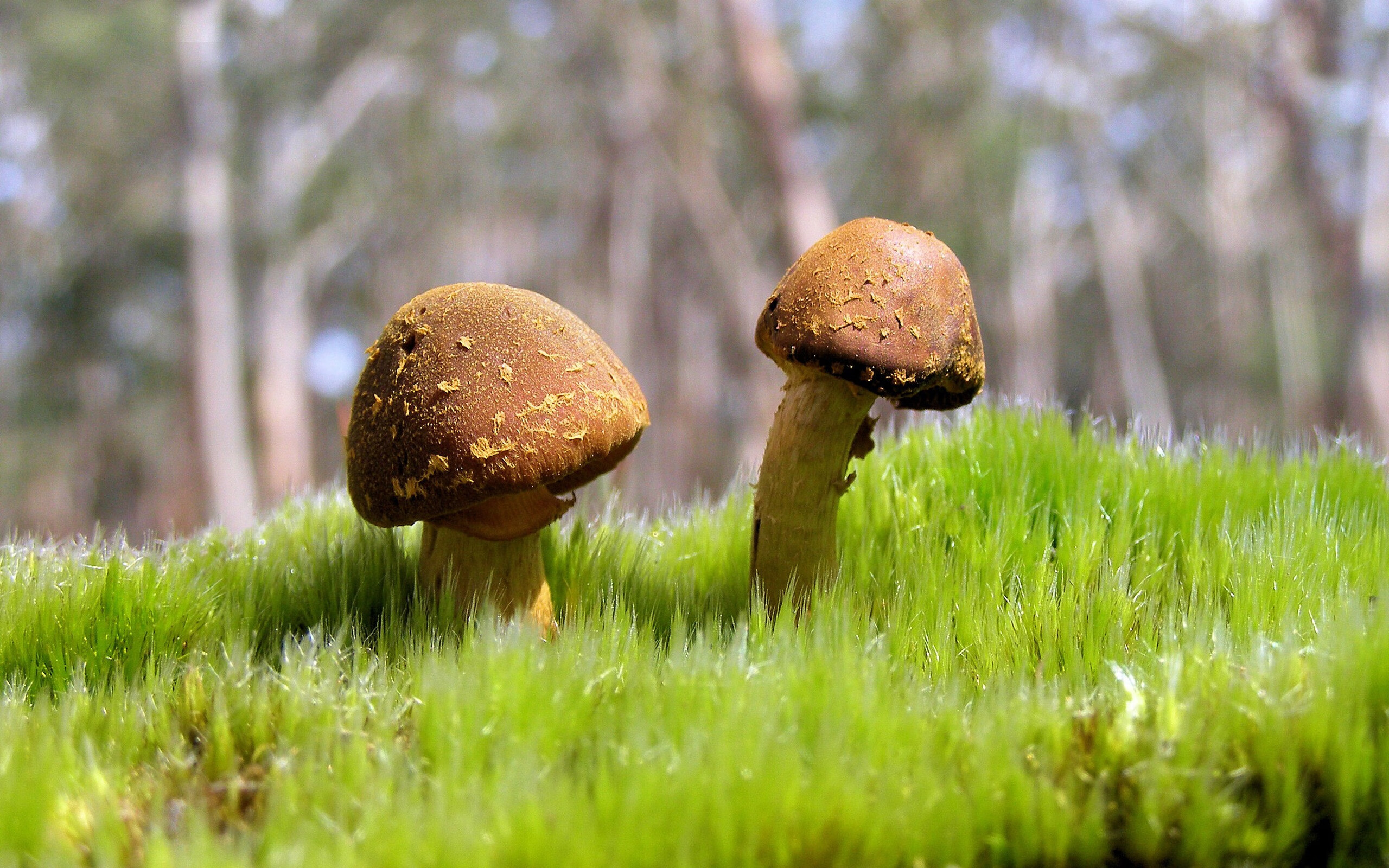 体育文化活动促进全民健康生活,助力全民健身活动促进体育事业发展