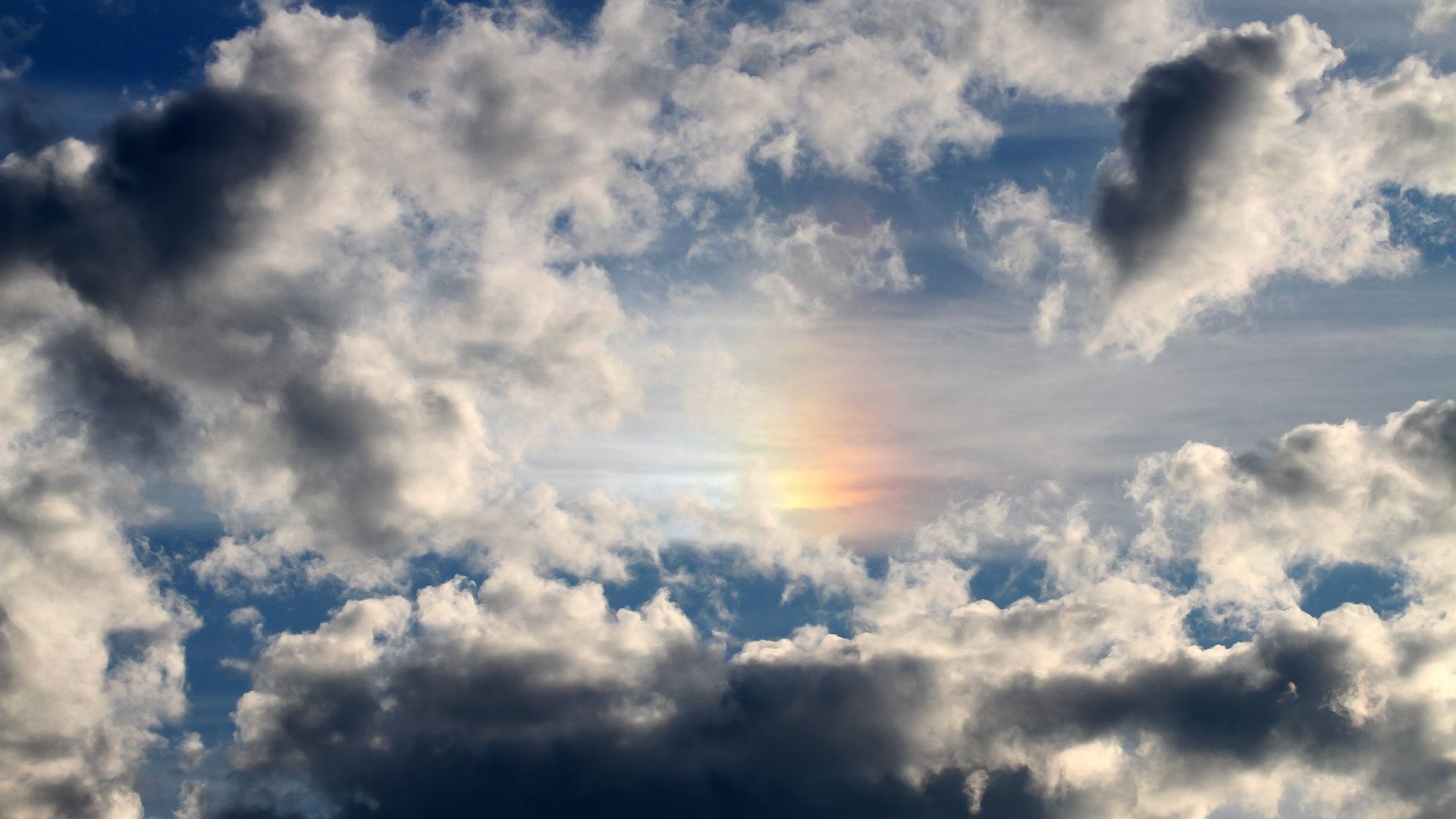 九游体育网站-皮特·卡普尔展现出强大的耐力与速度，成为比赛中的加速器，卡特皮特森