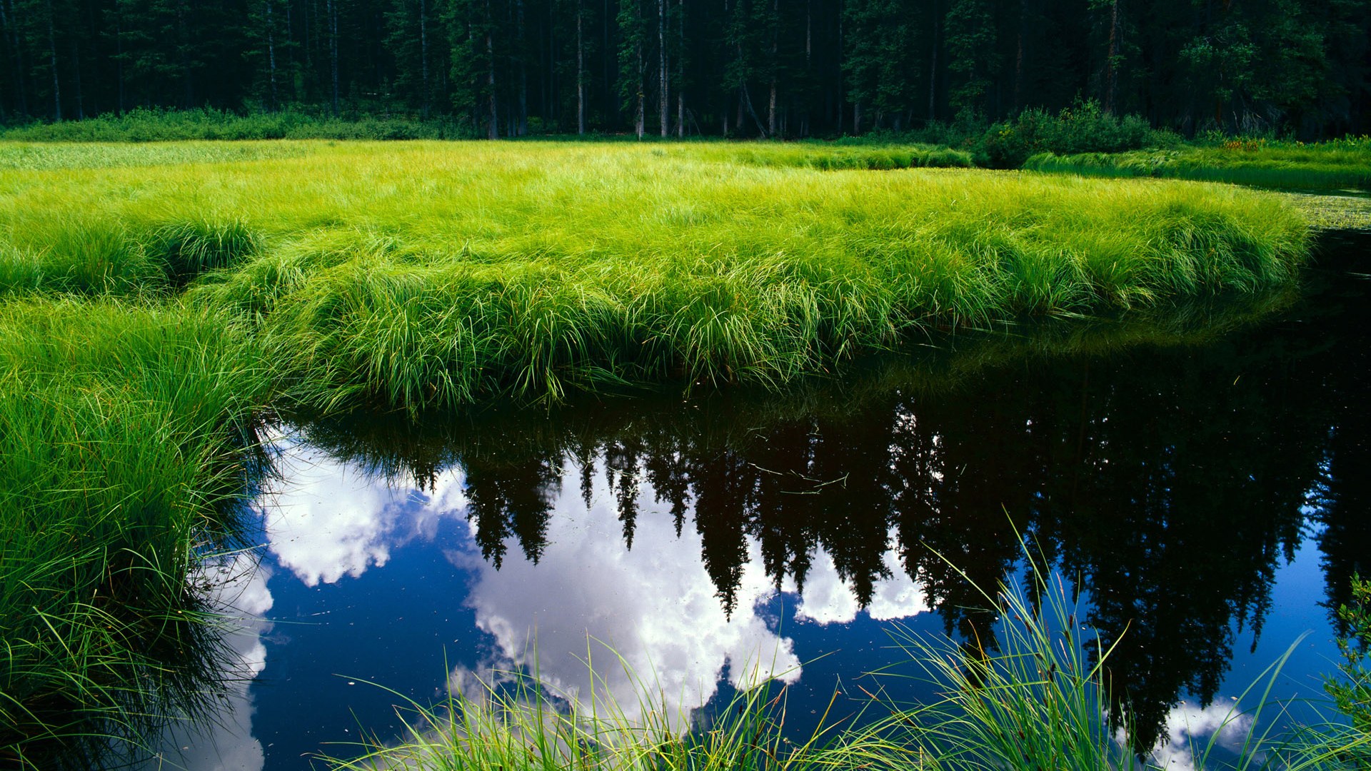 jiuyou-绿色环保足球装备逐步替代传统材料，推动绿色运动产业链，绿色的足球队